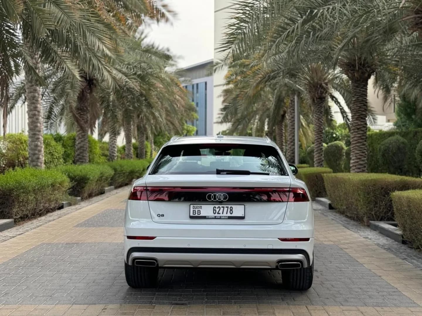 أودي أودي Q8 - فاخرة rental car (2024) - image 2